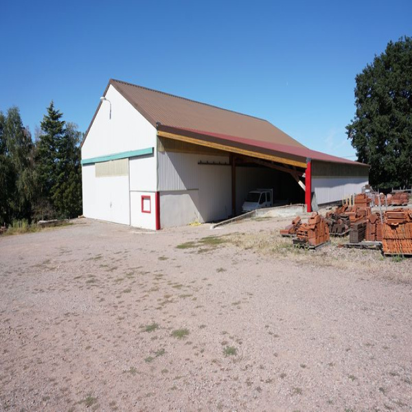 Vente Immobilier Professionnel Local commercial Charolles 71120